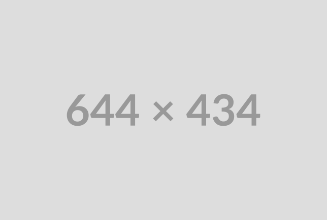 Multipurpose Business & Startup Theme